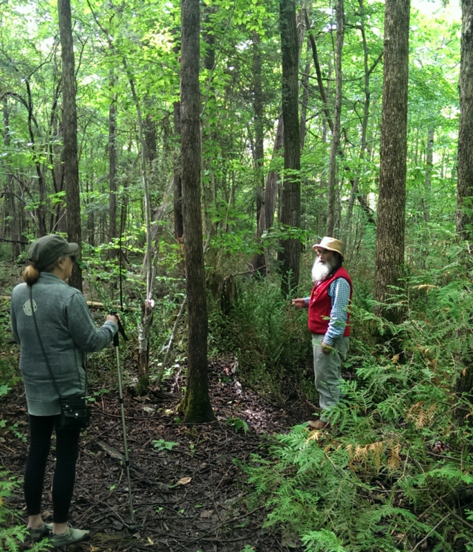 Participants on a Mood Walks hike at Jefferson Forest organized by CMHA York Region and South Simcoe Branch    