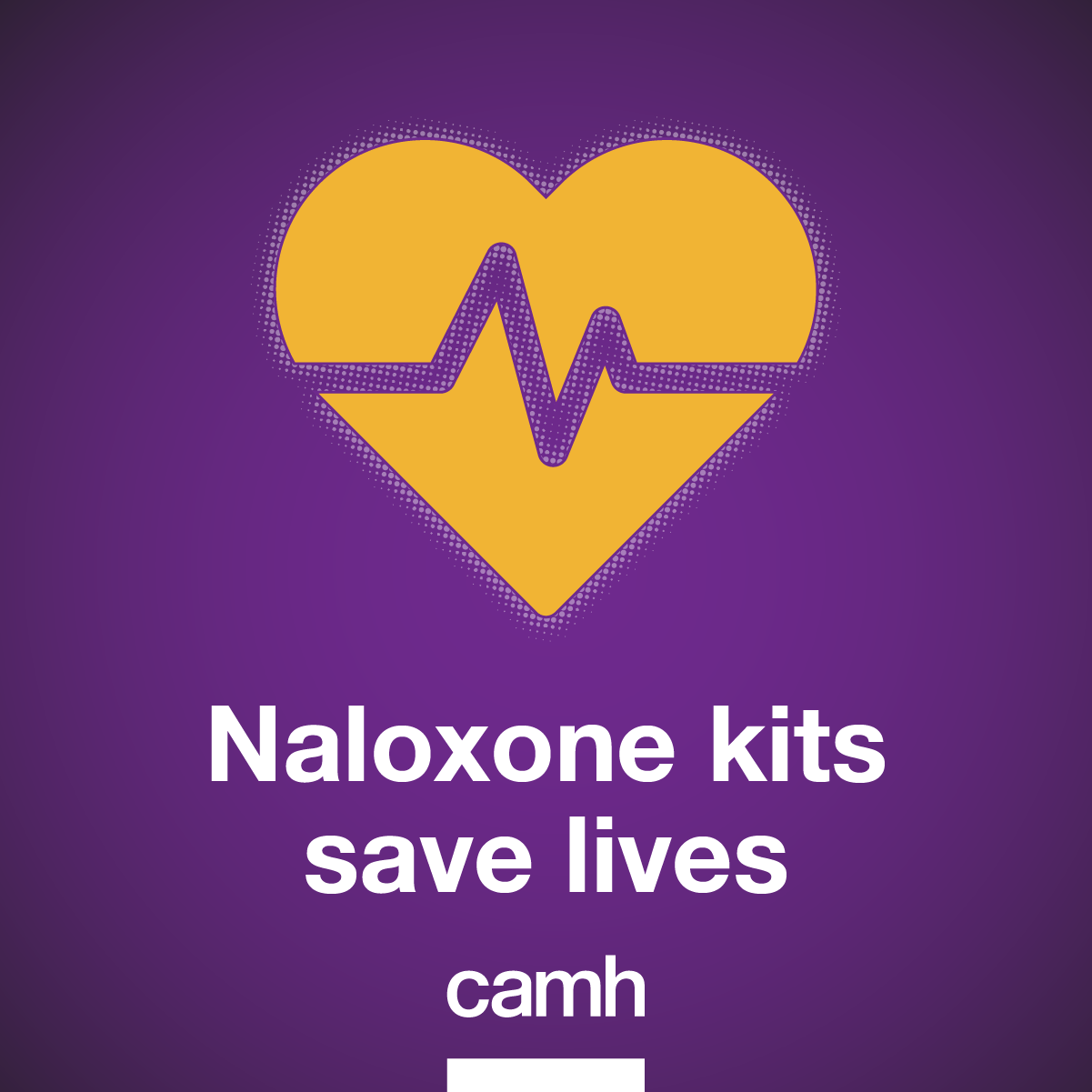 Naloxone kits save lives
