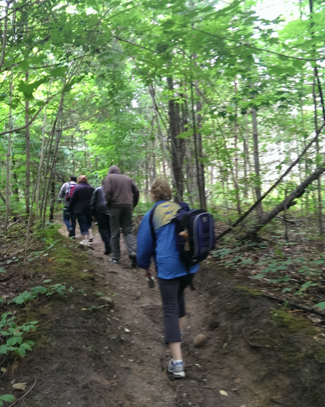 Participants on a Mood Walks hike at Jefferson Forest organized by CMHA York Region and South Simcoe Branch    